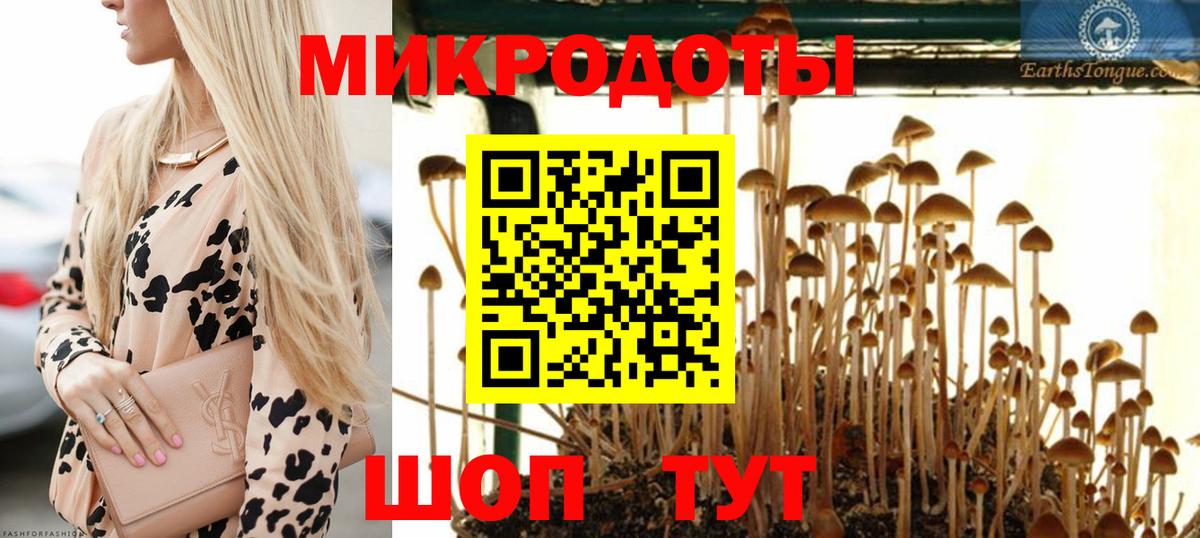 Галлюциногенные грибы Psilocybe  Вход с VPN  Дербент  купить   Галлюциногенные грибы MAGIC MUSHROOMS 